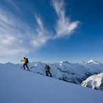 Gartner أوديرنز