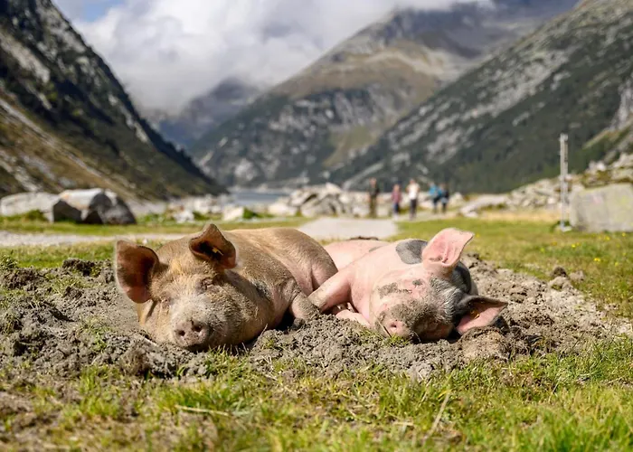 Gartner 公寓 乌登斯